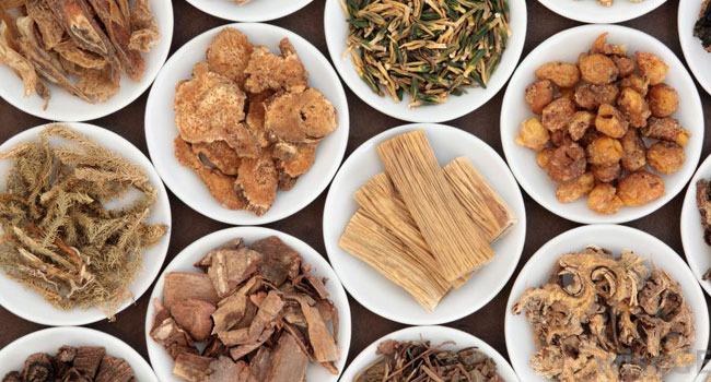 acupuncture-Wellington-Florida-Team-acupuncture